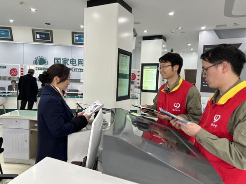 國網咸寧供電公司聯合大連家政服務企業開展3.15優質服務宣傳活動，共筑誠信服務新生態